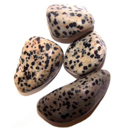 Second image of L Tumble Stones - Dalmata