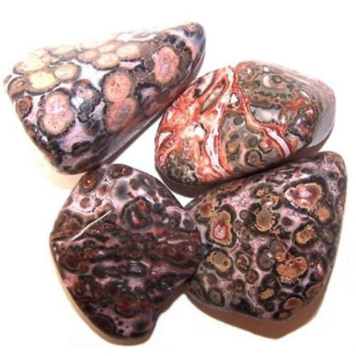 Second image of L Tumble Stones - Leopard Skin