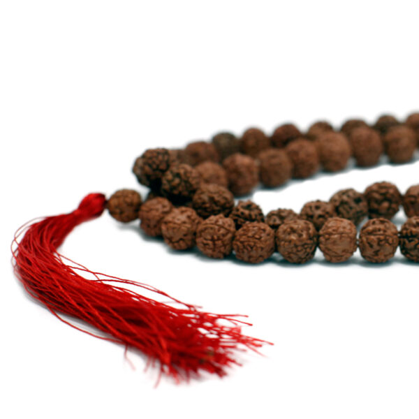 Second image of 108 Rudraksha Japa Mala - Marron