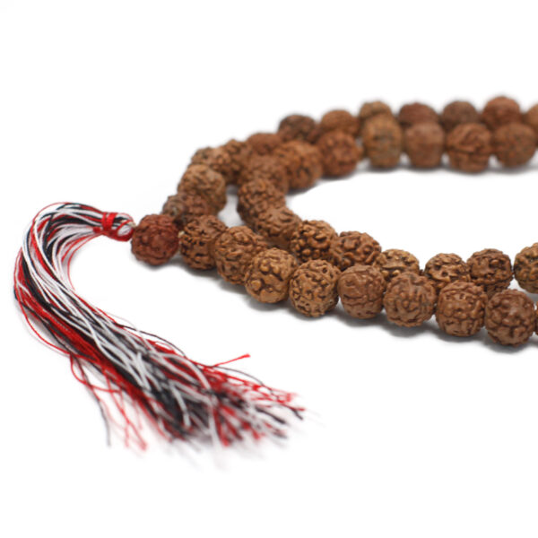 Second image of 108 Rudraksha Japa Mala - Natural