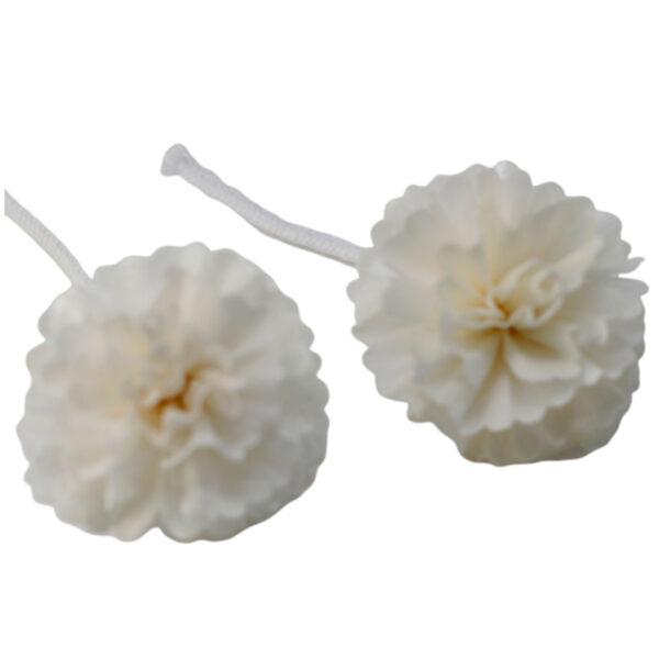 Second image of Flores Naturales para Difusor - Clavel Med en  Cuerda