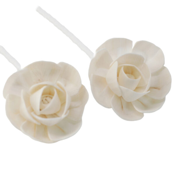 Second image of Flores Naturales para Difusor - Loto Pequeño en  Cuerda