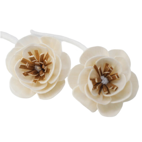 Second image of Flores Naturales para Difusor - Amapola Pequeña en  Cuerda