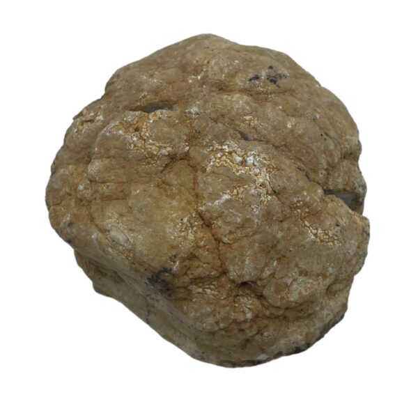 Second image of Geodas de calcita coloreada - Piedra Natural - Morado & Oro