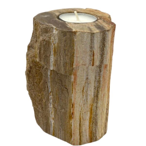 Second image of Portavelas de madera petrificada - Soltero alto