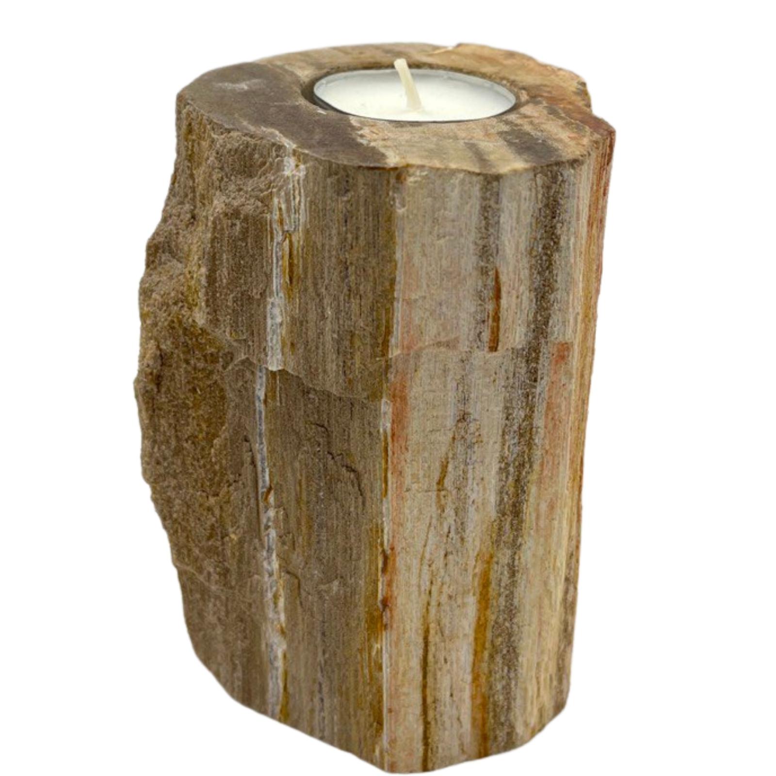 Second image of Portavelas de madera petrificada - Soltero alto