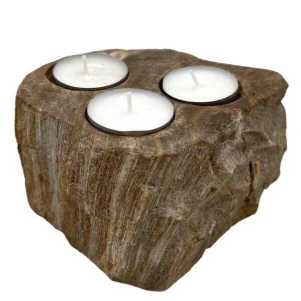 Second image of Portavelas de Madera Petrificada - Triple