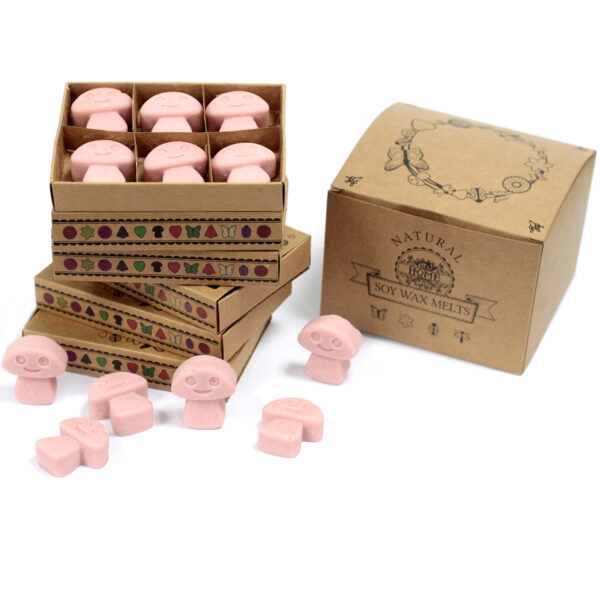 Second image of Caja de 6 cera de Soja - Café