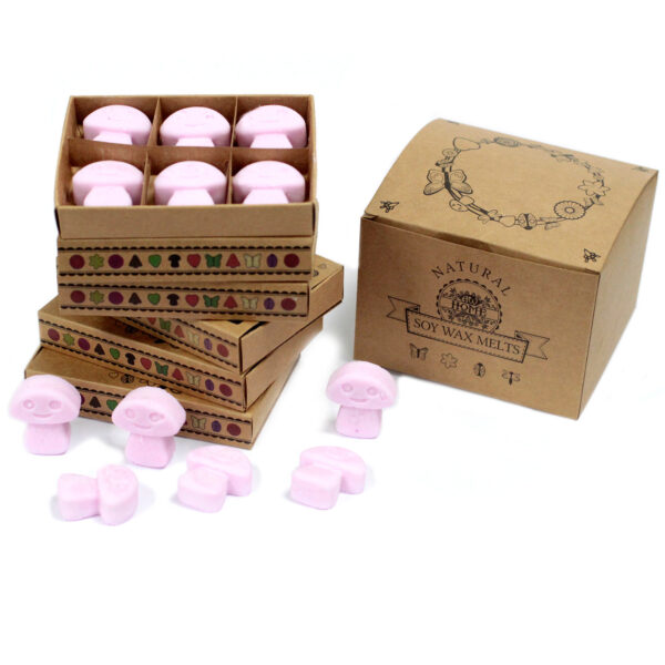 Second image of Caja de 6 ceras de Soja - Ylang Ylang