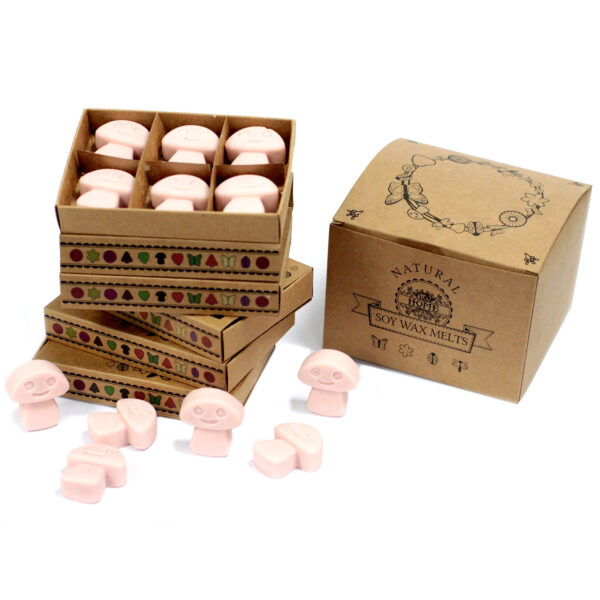 Second image of Caja de 6 ceras de Soja - Jengibre