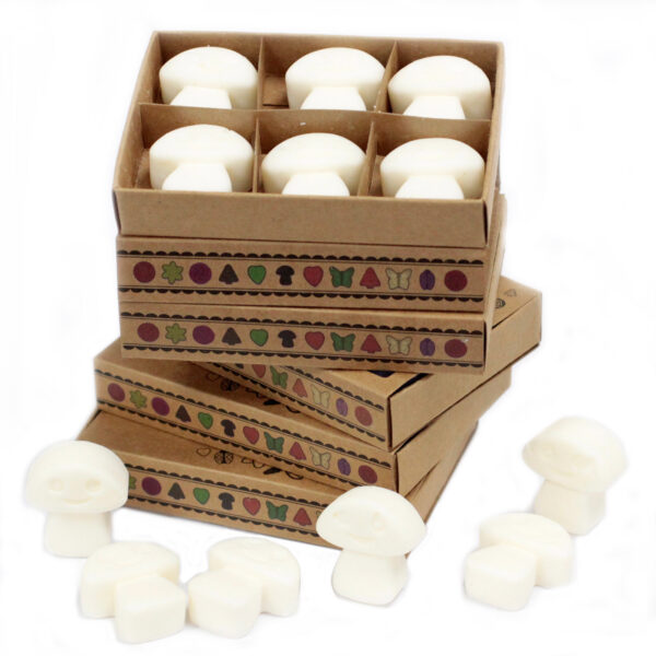 Second image of Caja de 6 ceras de Soja - Almizcle blanco