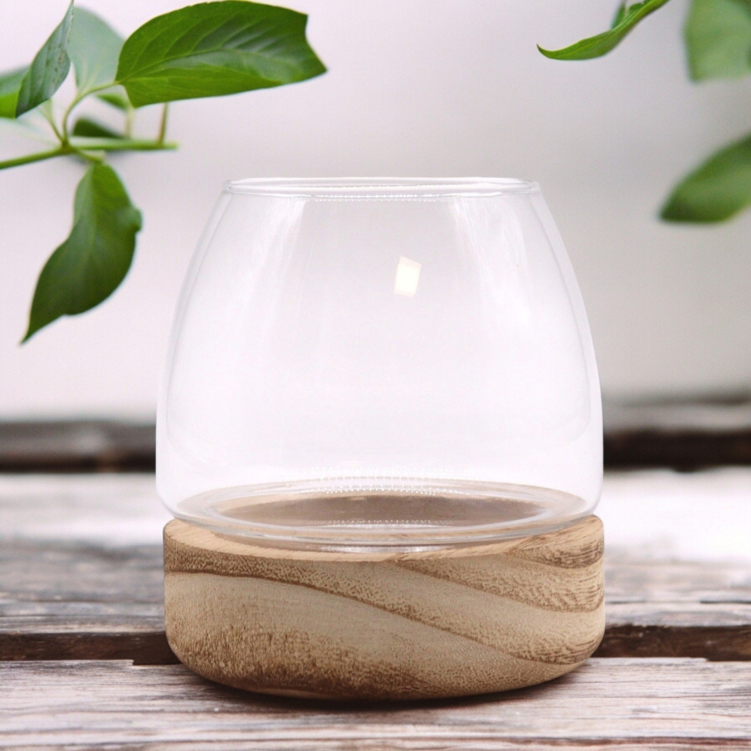 Second image of Terario Pequeño en Madera de Tung Natural - 10x10cm