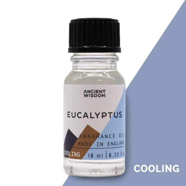 Aceites de Fragancia 10ml - Eucalipto