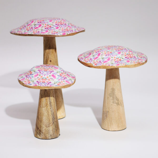 Second image of Seta Grande - 20cm - Belleza Floral