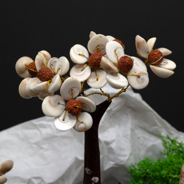 Second image of Gomati Chakra Árboles de Piedra Círculo con Rudraksha Mediano - (45 piedras)