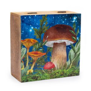 Caja cuadrada grande 15x17.5x8cm - Diseño seta verde azulado
