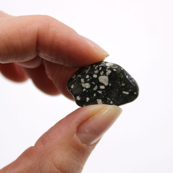 Second image of Pequeñas piedras africanas - Gallina de Guinea