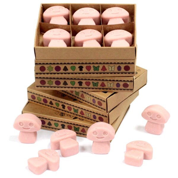Second image of Caja de 6 cera de Soja - Café