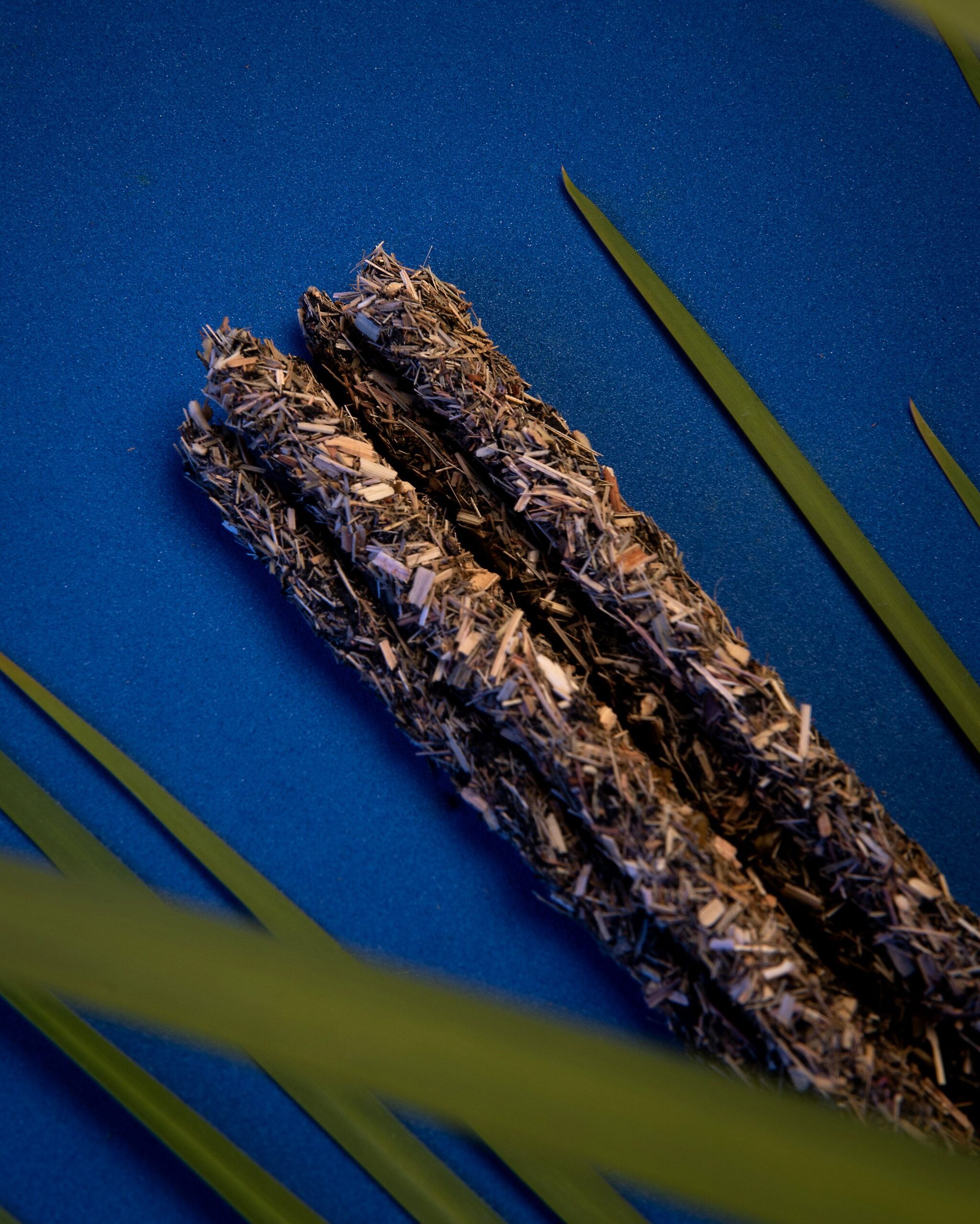 Second image of 5 Elementos Agua - Renacer