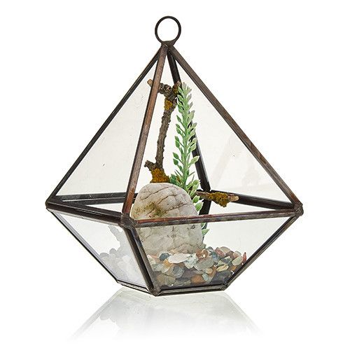 Second image of Terrario de Vidrio - Pequeño diamante