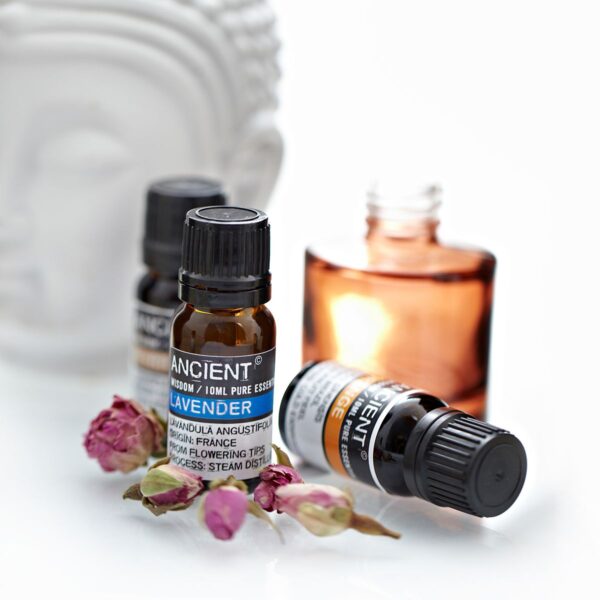 Second image of Aceite Esencial Eucalipto