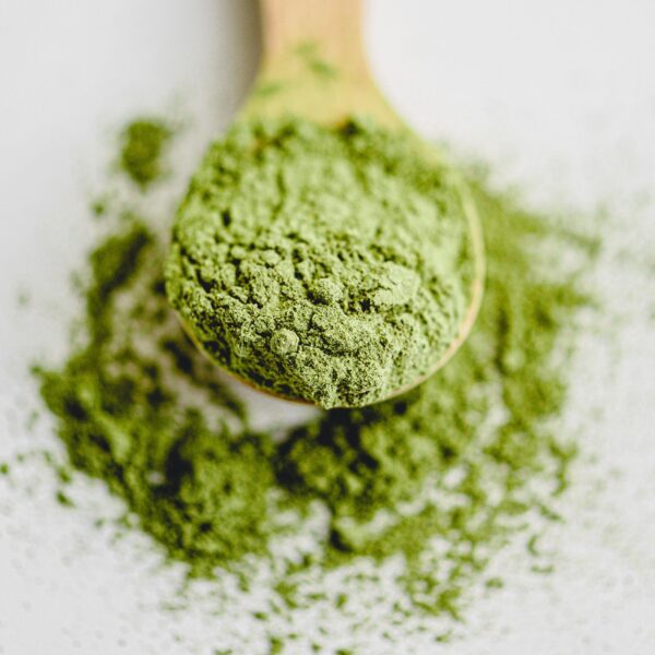 Second image of Té Matcha Ceremonial Orgánico
