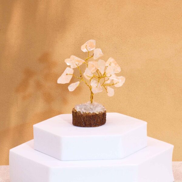 Second image of Mini árbol de piedras preciosas sobre base de madera - Cuarzo de roca (15 piedras)