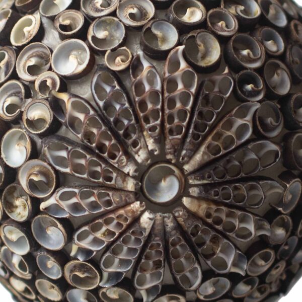 Second image of Lámpara Boho Sea Shell - Chocolate Twist Square - 15cm