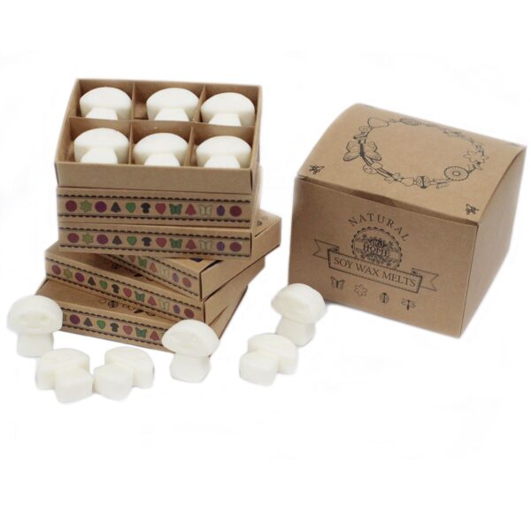 Second image of Caja de 6 ceras de Soja - Canela Y Naranja