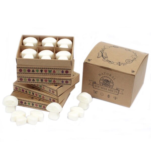 Second image of Caja de 6 ceras de Soja - Almizcle blanco