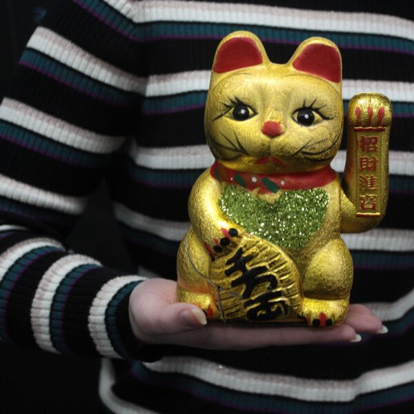 Second image of Gato de dinero - Clásico