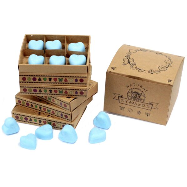 Second image of Caja de 6 ceras de Soja - Baya de gota