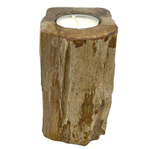 Second image of Portavelas de madera petrificada - Soltero alto