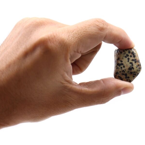 Second image of L Tumble Stones - Dalmata